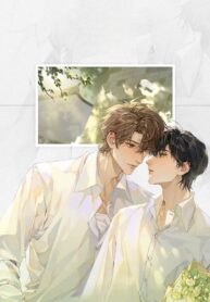 Xuyên nhanh: Alpha biến thái của học thần Enigma